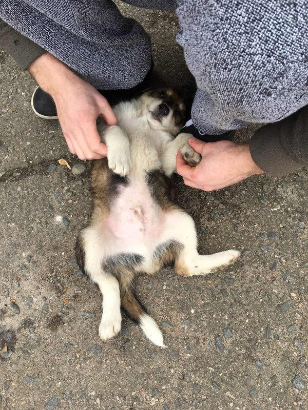 6B790FBA-7DA8-4316-893F-AB5EC9F8E75A