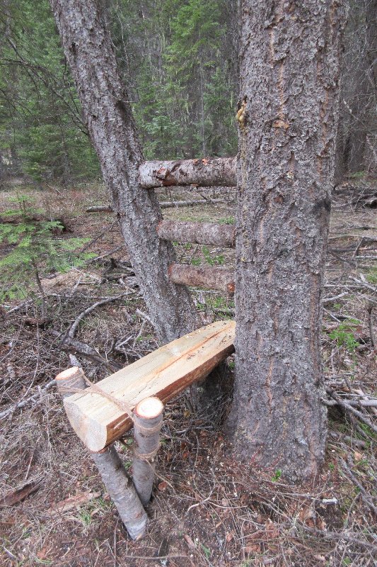 Bushcraft camp chair ideas?