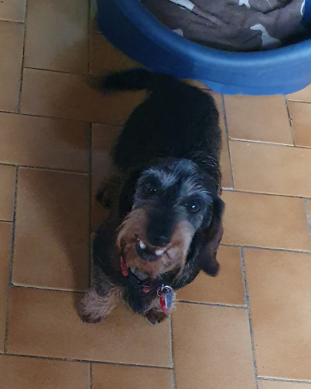 [Image: 20201220-143611.jpg]