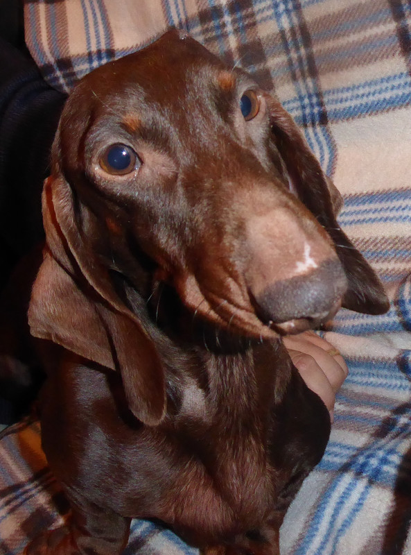 [Image: P1040361.jpg]