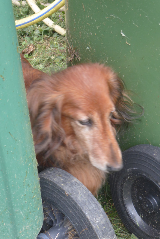 [Image: P1030803.jpg]