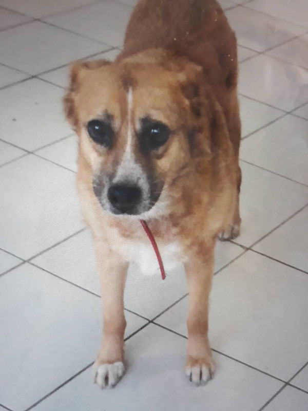 4CE33289-8E97-4040-B248-A732E792B857