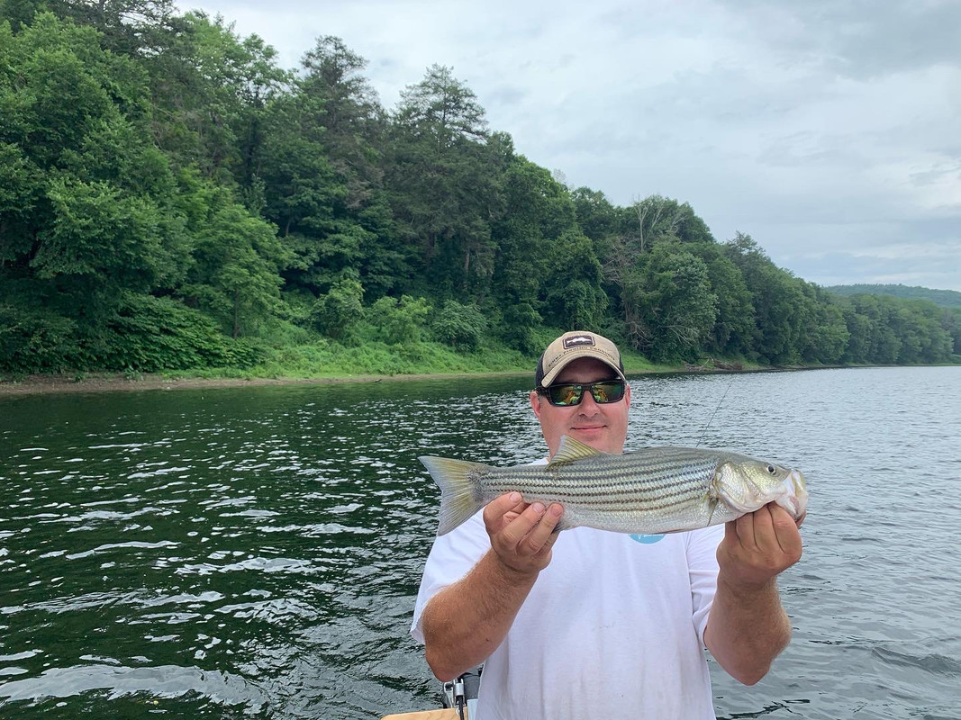 EB445745-253E-416E-A813-2543FDD59F26