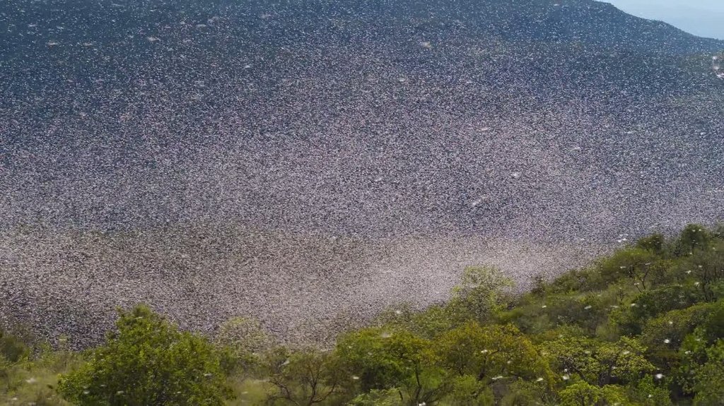 [Image: p4a0lbm8ykt6.jpg]