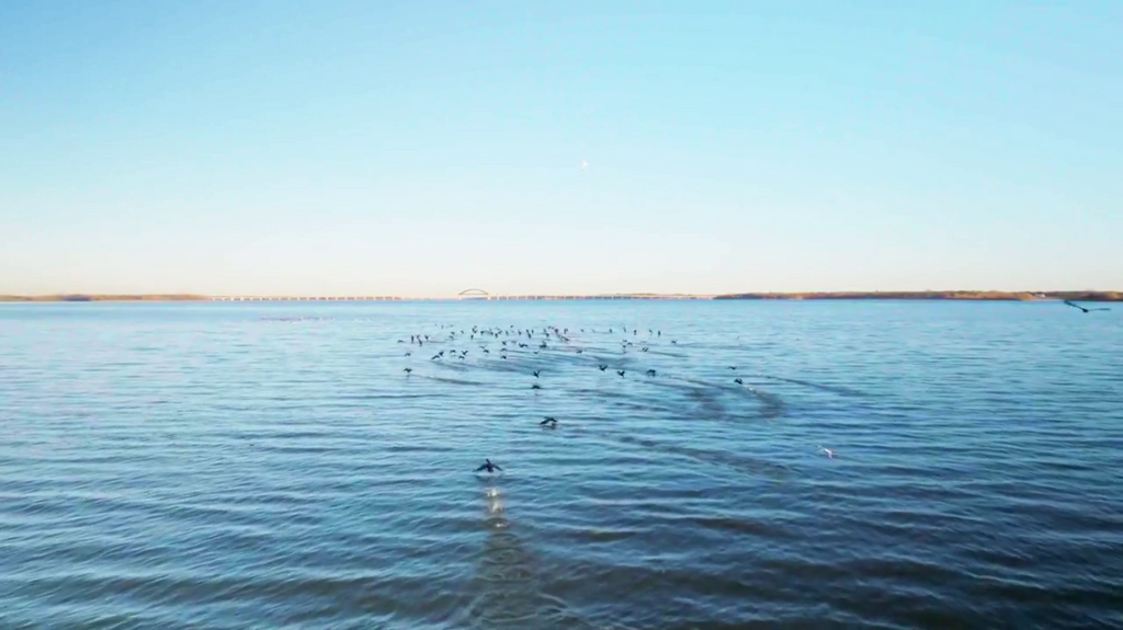 [Image: dc8nqwef0c92.png]