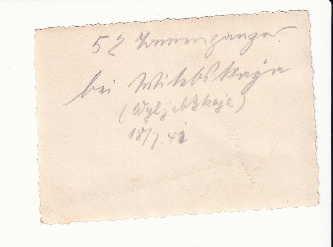 Elitesoldaten WW2 Foto Konvolut TK Nord Norge Einsatz Rusland Beute Panzer(1)