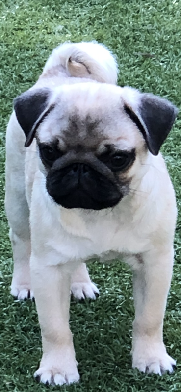 3F6E2E49-3E57-4EA2-8268-1EC298E9E6FF