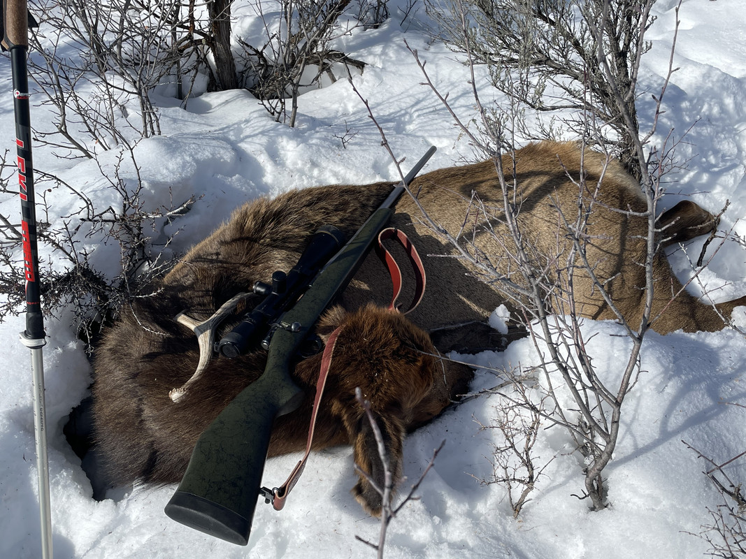 CF7F31E9-C934-4C9C-839F-461A8D0C035C