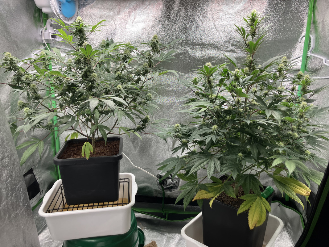 D651AADD-A7CB-43CD-9852-61356A9271E1