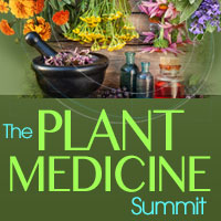 [Image: G-PThe-Shift-Network-Plant-Medicine-Summit-2017.jpg]