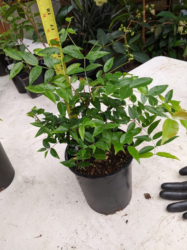 PXL_20230617_185429792