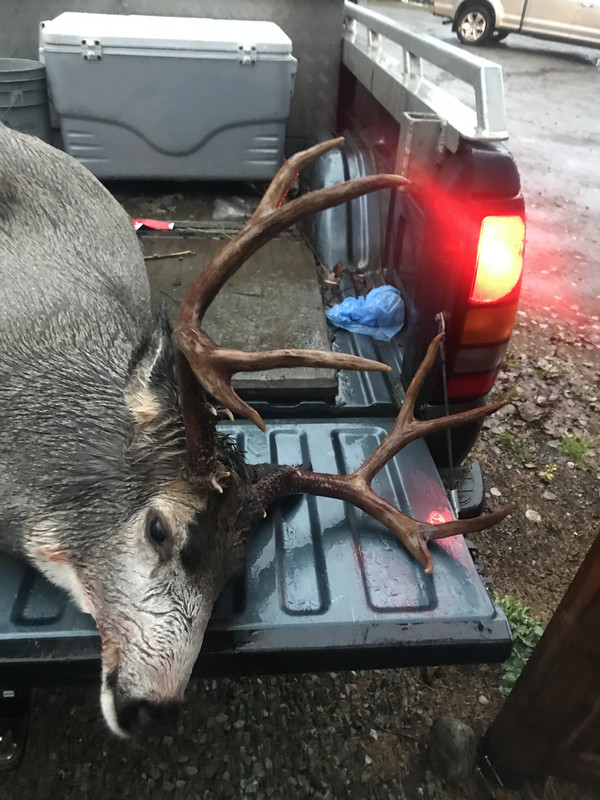 C4EBD243-B680-4DDF-BA14-A39F0916D2CC