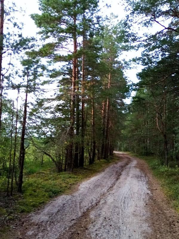 11_40 дорога_1_result