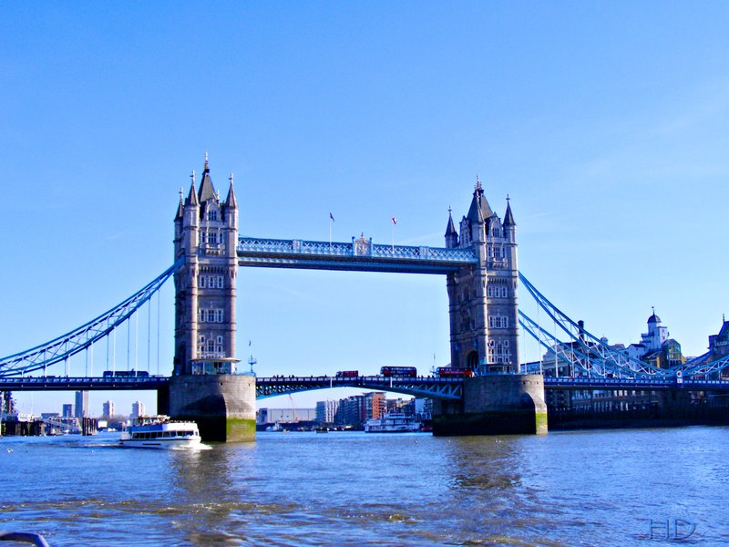 DSCF7823.jpg