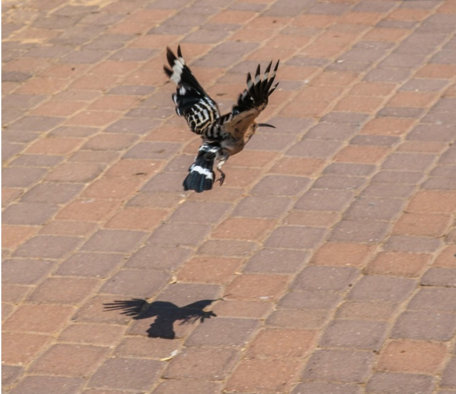 80A4B291-EA5B-4467-93E4-E1EDF4720926