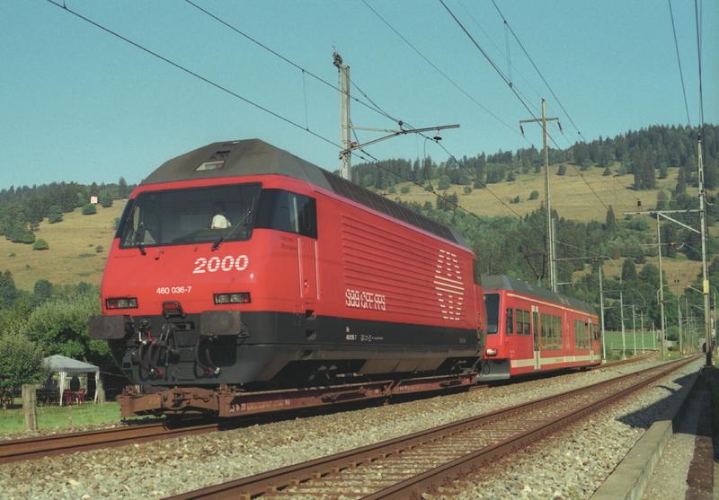 460-036-01.jpg