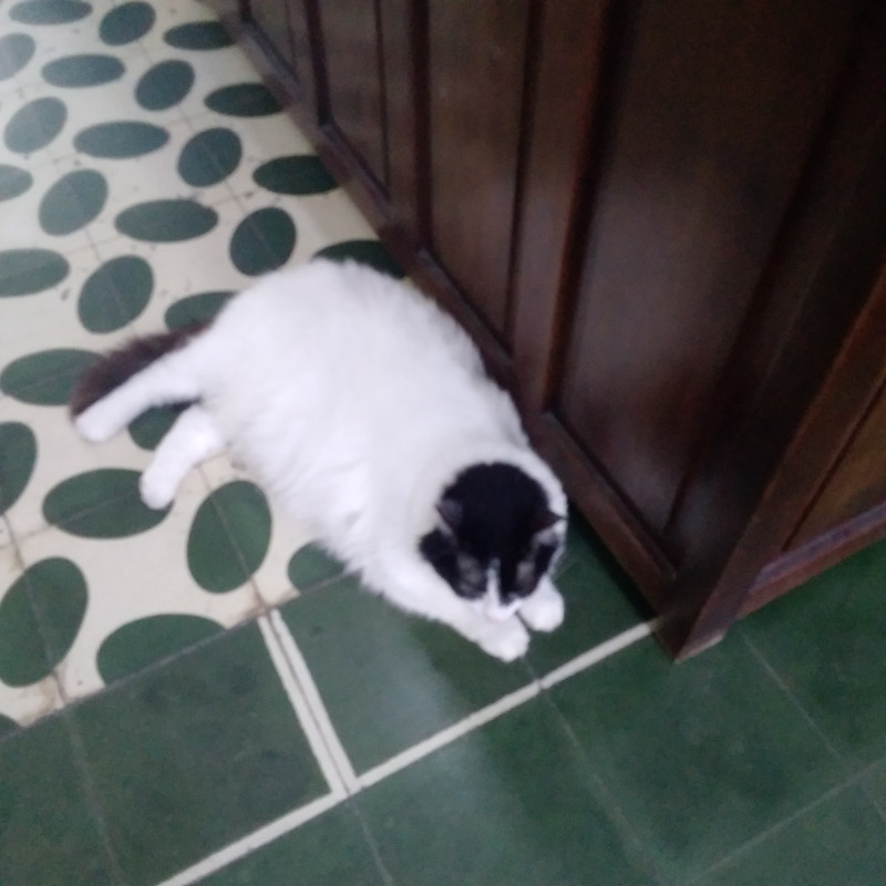 Зимовка 2026, полтора месяца в Колумбии.