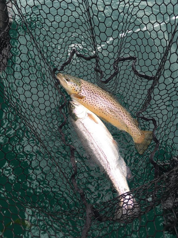 DA091190-4640-40F3-AC7F-DA871600DC09