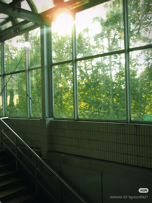 photo 15 2025 12 27 21 11 06