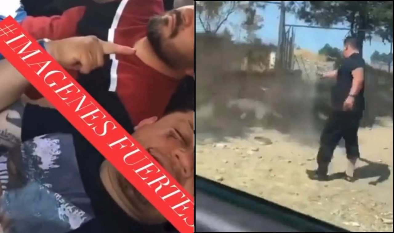 Denuncian a excandidato del PVEM por asesinato de un perro en Tlaxcala
