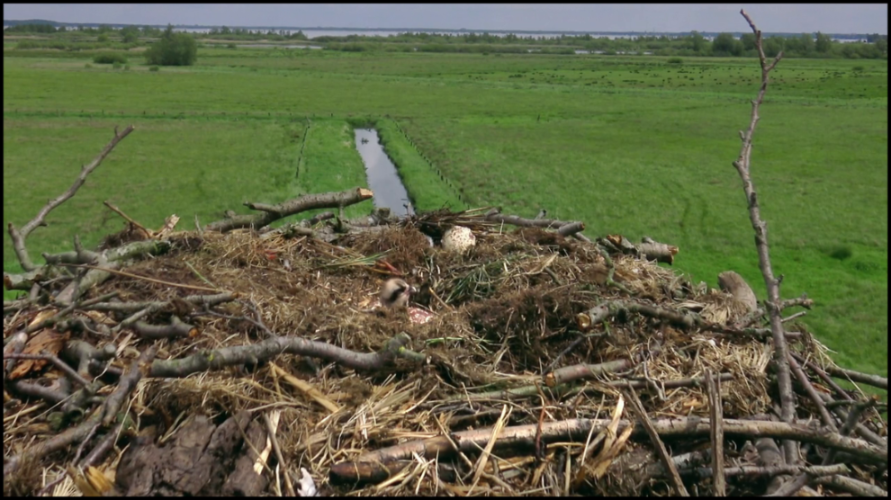 [Image: 4d07do1xkkbx.png]