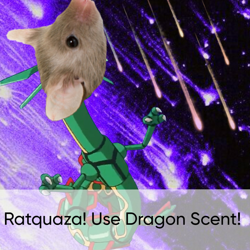 RATQUAZA!