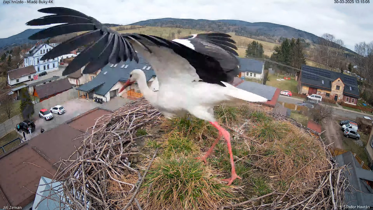 Tiešraides kamera — Mladé Buky — stārķa ligzda 4K 17-50-37 screenshot