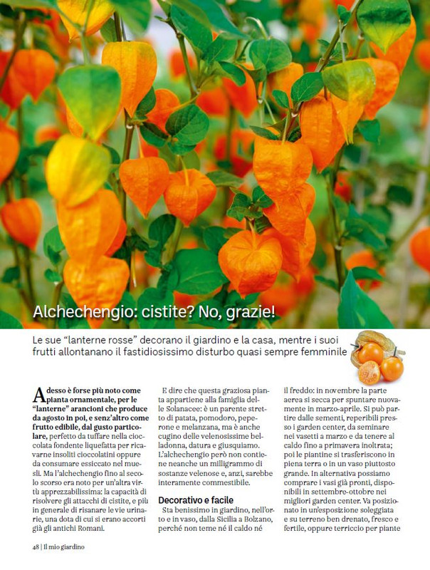 Il Mio Giar Ott-Nov 2023 (7)