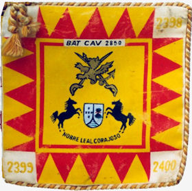 BCav2850
