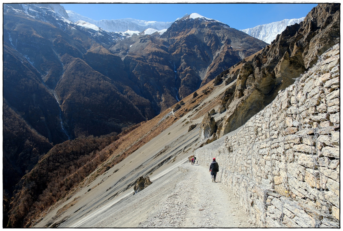 AC día 8: Shree Kharka (4067 m) a Tilicho BC (4160 m) - Trekking en Nepal: Annapurna Circuit y Mardi Himal (10)