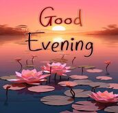 171337 Wl5 INok G