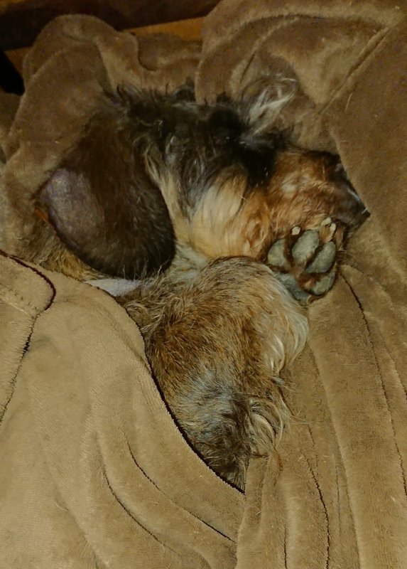 [Image: 20240409-221450.jpg]