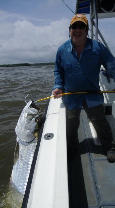 tarpon