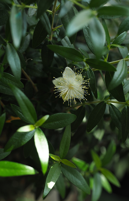[Image: P5110023.jpg]