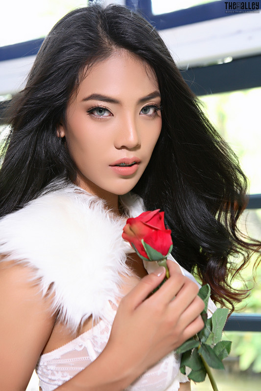 Arya 41-026