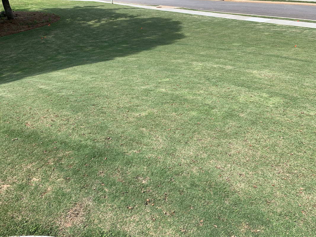 1B668980-4F76-48E0-999F-D88E81DE054C