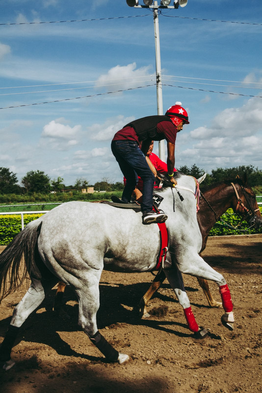 people-man-riding-horse.jpg