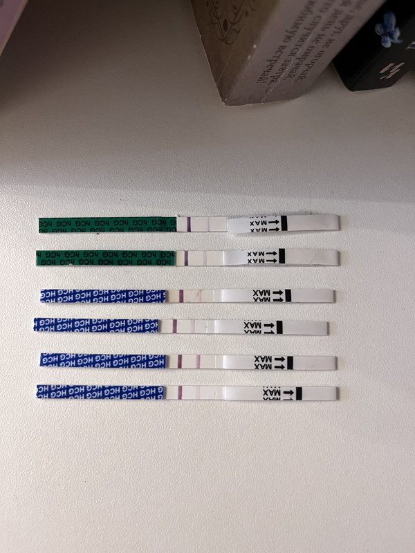 666325C3-5E3E-4478-AD0C-58203981D697