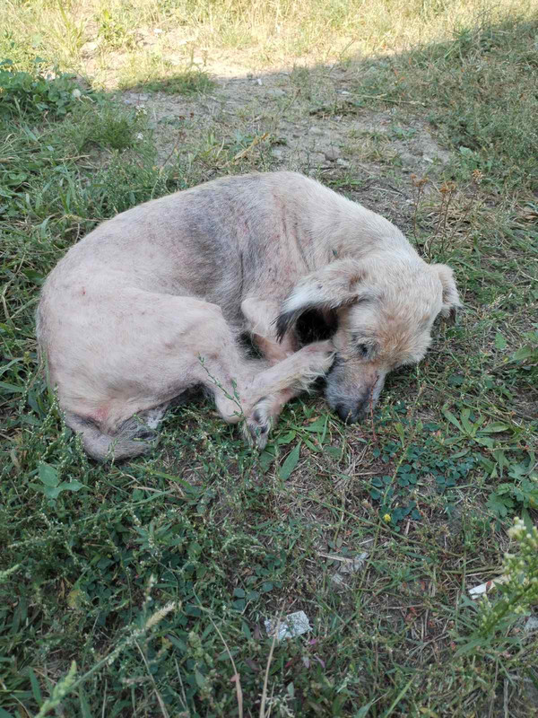 IMG-7b737e9ddeb6763dd6c3699b2f3b35ce-V