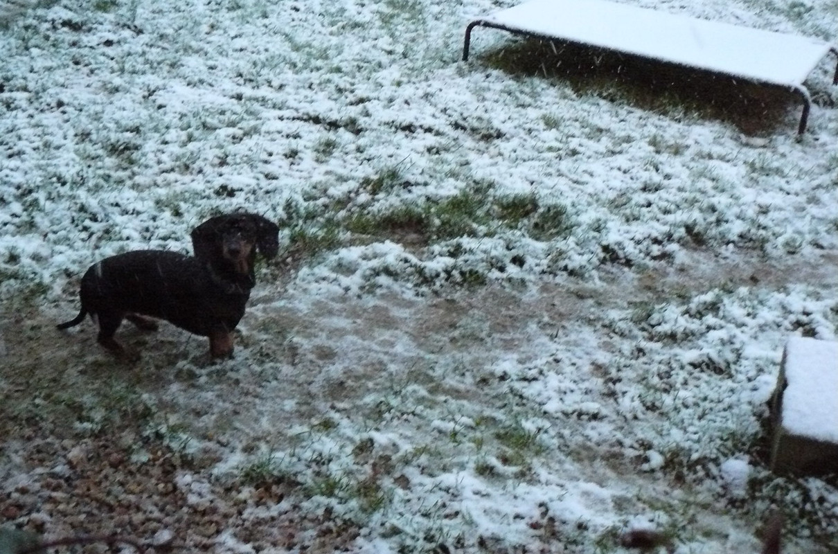 [Image: P1240619.jpg]