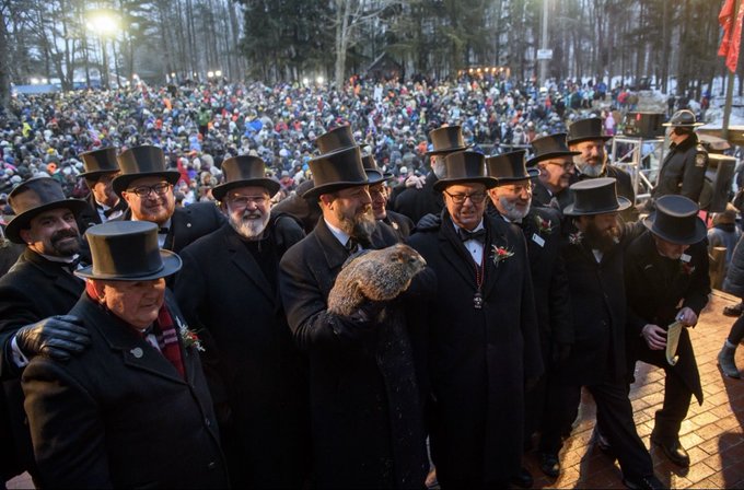 Did Phil See His Shadow 2026? Groundhog Day Results & Prediction Revealed!
