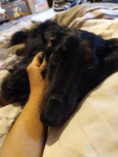 [Image: IMG-20200603-203923.jpg]