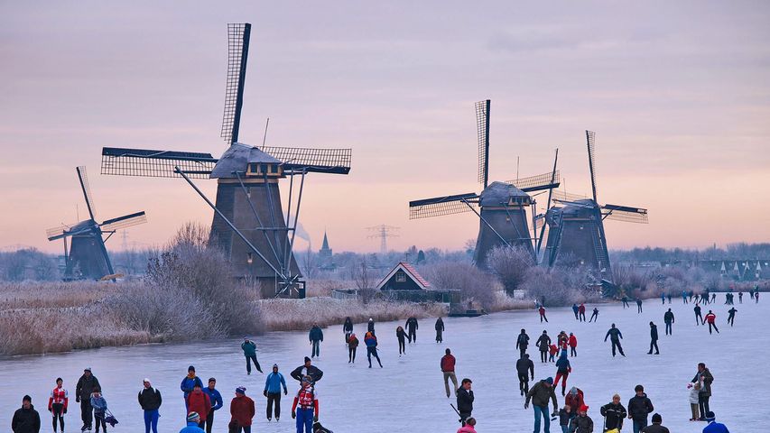 Kinderdijk-en-hiver.jpg