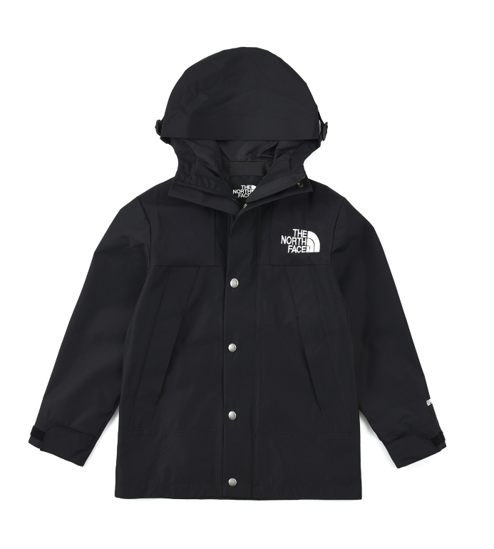The North Face Vest
