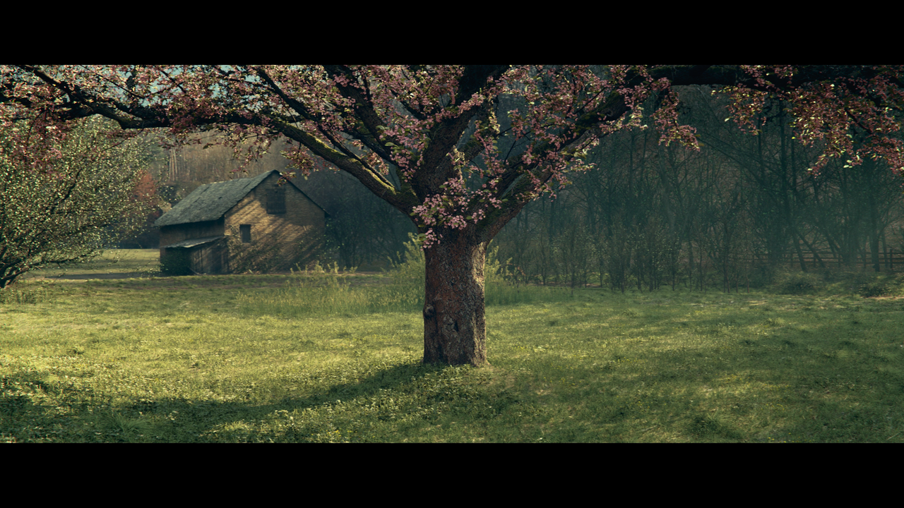 mpv-shot_White.Bird.2023.2160p.UHD.BDRemux.HDR.DV.HEVC-Нечипорук_01_17_49_0006