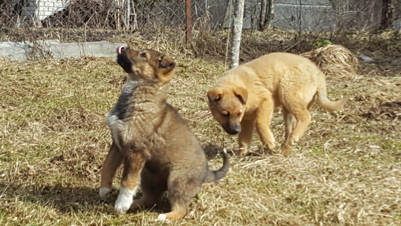 IMG-00c555dfac46a1e2a84714b858ecdc37-V