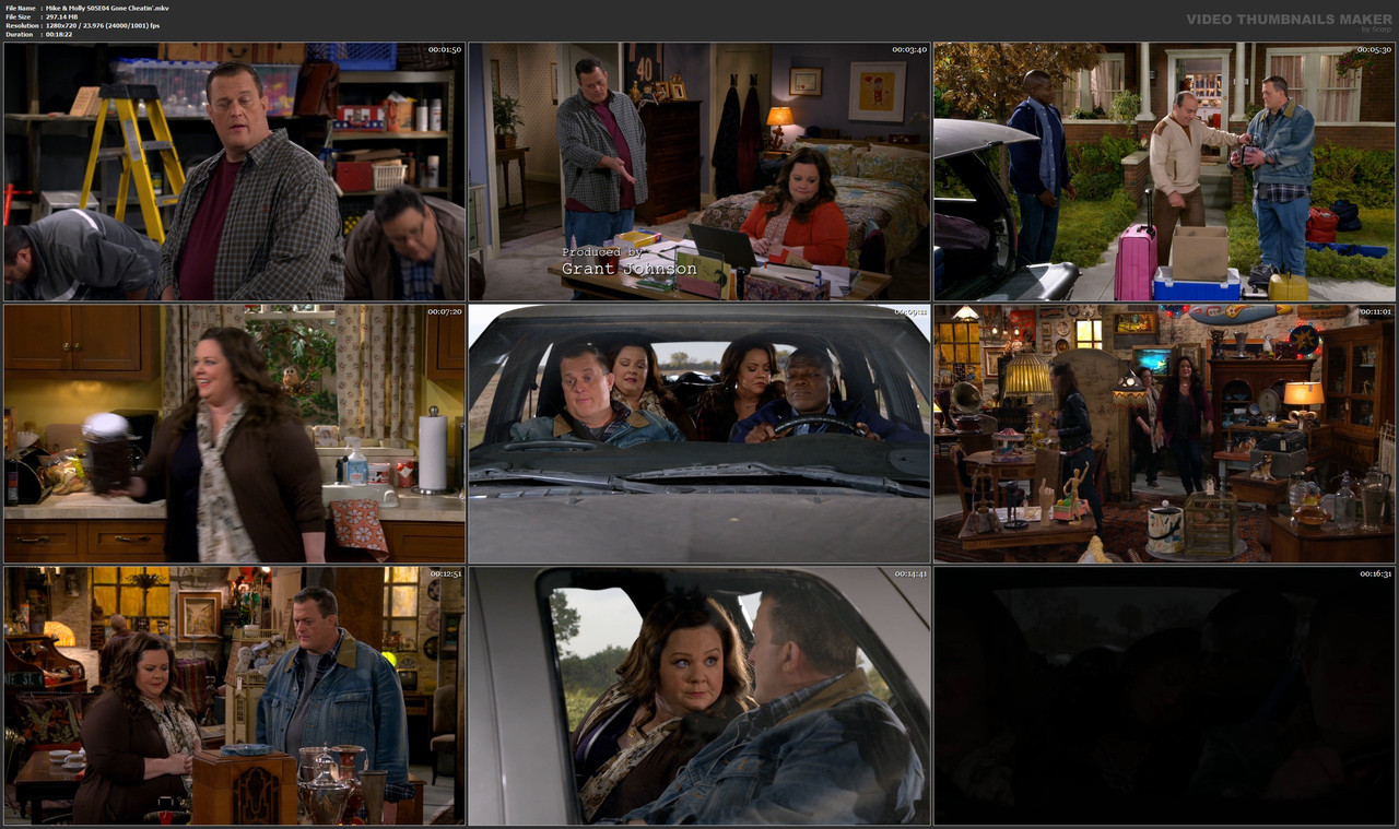 Mike & Molly S05E04 Gone Cheatin'.mkv