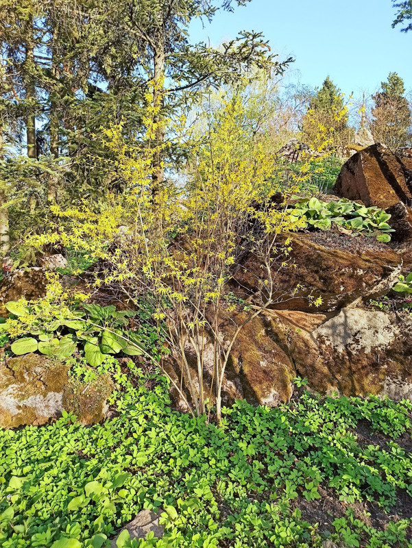 490872266_9523958287695679_7672371222339613538_n