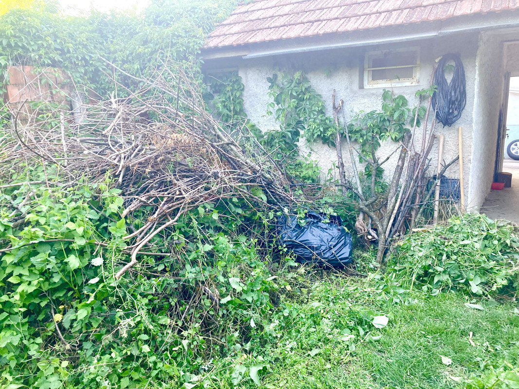 7EB27B8E-0313-4BF1-B6EB-5EF52729323E