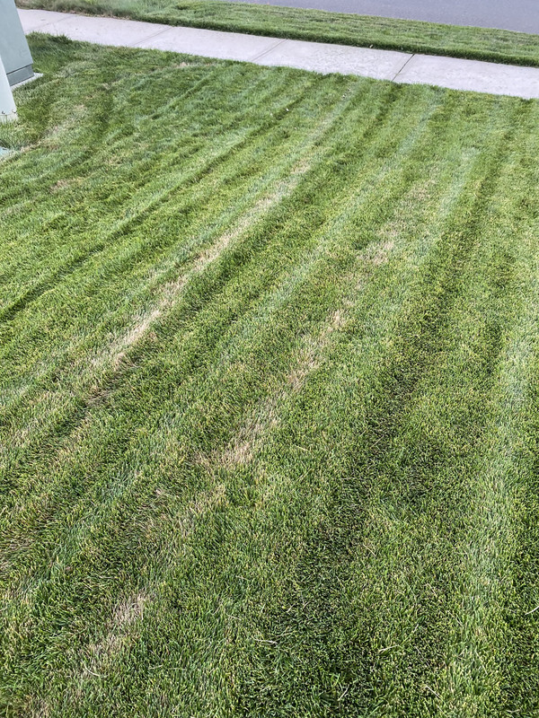 D4B7F991-C8B7-4153-A020-8466091434C1